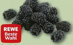 REWE Center Rewe Beste Wahl Brombeeren Angebot