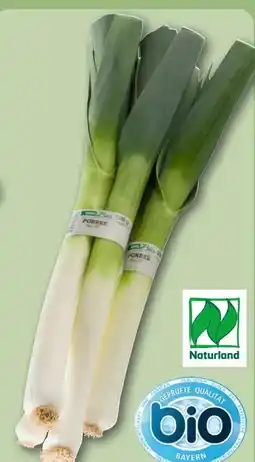 REWE Center Bio Porree Angebot