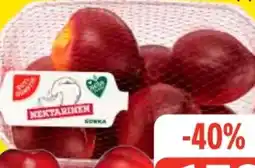 Edeka Frischemarkt Gut & Günstig Nektarinen Angebot