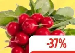 Edeka Frischemarkt Radieschen Angebot