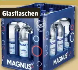 REWE Center Magnus Mineralwasser Angebot