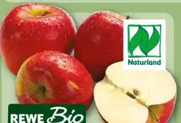 REWE Center Rewe Bio Tafeläpfel Angebot