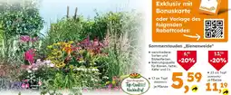 Globus Baumarkt Sommerstauden „Bienenweide❝ Angebot