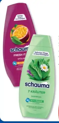 Budni Schwarzkopf Schauma Shampoo Angebot