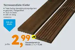 Globus Baumarkt Terrassendiele Kiefer Angebot