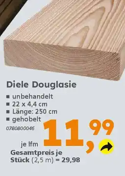 Globus Baumarkt Diele Douglasie Angebot