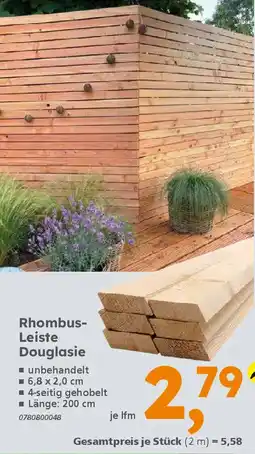 Globus Baumarkt Rhombus- Leiste Douglasie Angebot