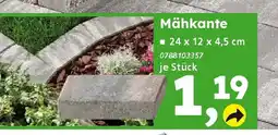 Globus Baumarkt Mähkante Angebot