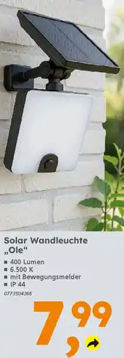 Globus Baumarkt Solar Wandleuchte „Ole" Angebot