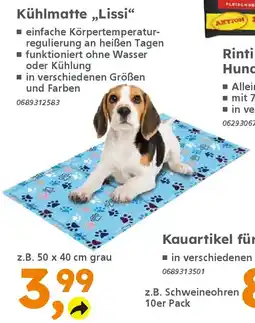 Globus Baumarkt Kühlmatte,,Lissi❝ Angebot