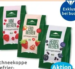 Budni Schneekoppe Gefriergetrocknete Früchte Angebot