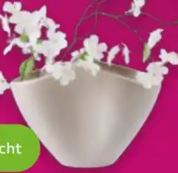 Mömax Vase Cashmere Angebot