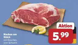 Combi Nacken am stück Angebot