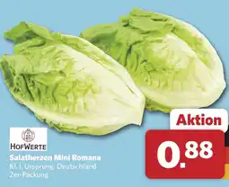 Combi Hofwerte salatherzen mini romana Angebot