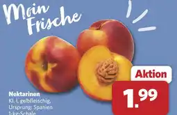 Combi Nektarinen Angebot