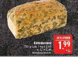 Marktkauf Kürbiskernbrot Angebot