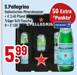 trinkgut S.pellegrino Angebot