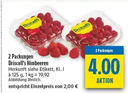 diska Driscoll's himbeeren Angebot