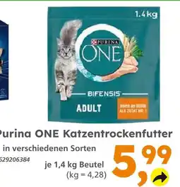 Globus Baumarkt Purina one bifensis adult Angebot