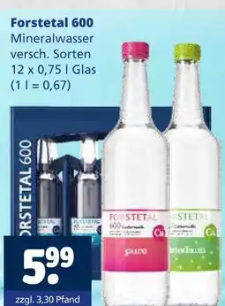 Getränkewelt Forstetal 600 pure Angebot