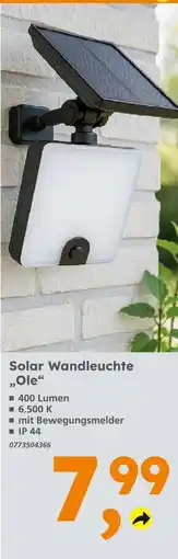 Globus Baumarkt Solar wandleuchte ole Angebot