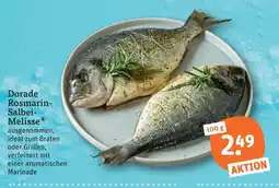 tegut Dorade rosmarin-salbei-melisse Angebot