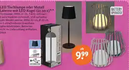 tegut Led tischlampe Angebot