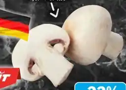 AEZ Hit Riesenchampignons Angebot