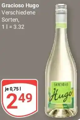 Globus Gracioso Hugo Angebot