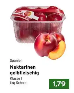 CAP Markt Nektarinen gelbfleischig Angebot