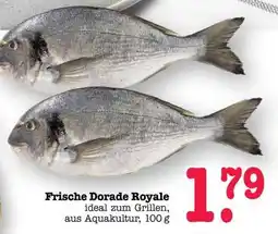Scheck-in-Center Frische Dorade Royale Angebot