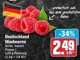 HIT Deutschland Himbeeren Angebot
