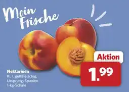 Combi Nektarinen Angebot