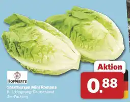 Combi Salatherzen Mini Romana Angebot