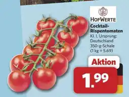 Combi Cocktail-Rispentomaten Angebot