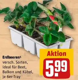 REWE Erdbeeren Angebot