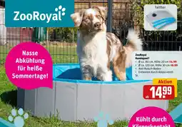 REWE Zoo Royal Hundepool Angebot