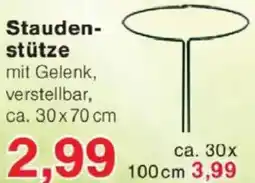 Jawoll Staudenstütze Angebot