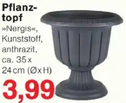 Jawoll Pflanztopf Angebot
