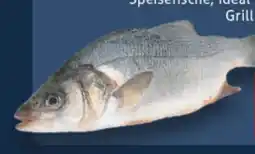 E-Center Wolfsbarsch Angebot