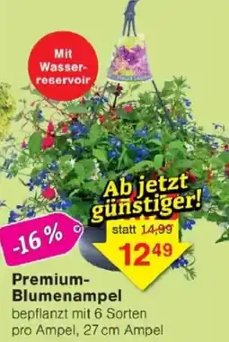Jawoll Premium Blumenampel Angebot