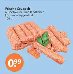V Markt Frische cevapcici Angebot