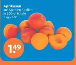 V Markt Aprikosen Angebot