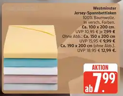 Marktkauf Westminster jersey-spannbettlaken Angebot
