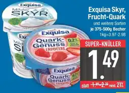 E-Center Exquisa Skyr, Frucht-Quark Angebot