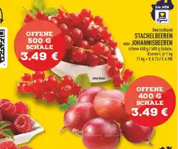 Marktkauf Johannisbeeren oder stachelbeeren Angebot