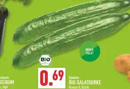 Marktkauf Bio-salatgurke Angebot