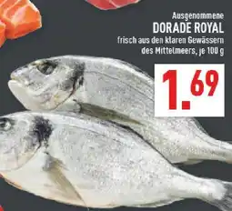 Marktkauf Dorade royal Angebot