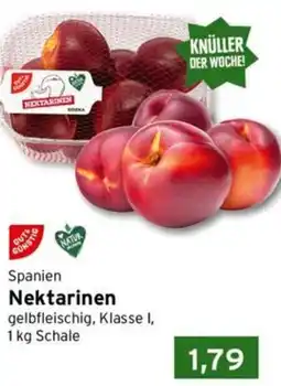 CAP Markt Spanien Nektarinen Angebot