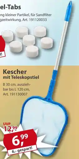Sonderpreis Baumarkt Kescher mit Teleskopstiel Angebot